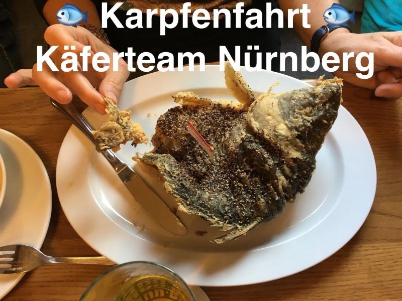 Karpfenfahrt 2024